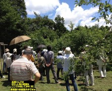 養鶏法研鑽会開催中in飯田　その３