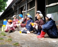 養鶏法研鑽会開催中in飯田　その2