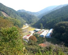 日和佐の新しい出発【観音寺】