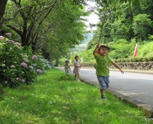 「ピーマンは畑の味」6月の幼年さん