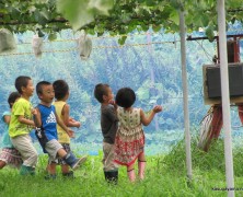 いざ・青蓮寺へ！【幼年部】