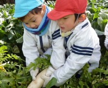 初めての子も弾けてノビノビ～楽園村