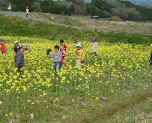 入雛3日’’幼年さん元気いっぱい