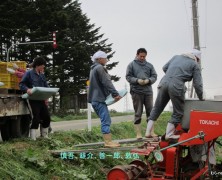 2011ジャガイモ定植その2　【夕張】