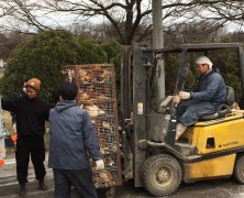 鶏移動　船南から榛名へ！！