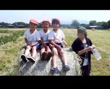 太陽の家お散歩　 【春日山】