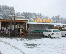 大雪の中の内部川日曜市