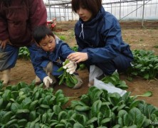 ふるさと村を開催しました 【岡部】