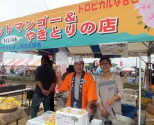 コスモス祭り in 岡部