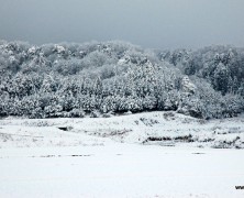 白銀世界の春日山