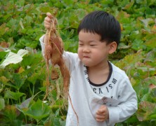 豊里ふるさと村