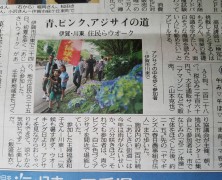 中日新聞に掲載されました