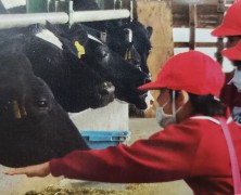 地元の小学1年生がやって来ました！