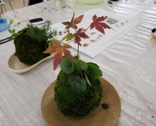 苔玉づくり