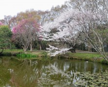 4月フォトグラフ