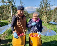 飯田のりんご狩り🍎