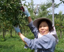 西原敏恵特派員からの情報【適期作業交流】