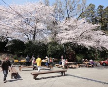 桜の木の下で【岡部】