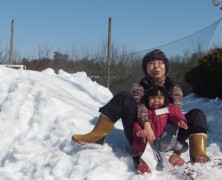 雪のふるさと村ｉｎ岡部