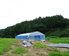 心の手を結び動き出す【養鶏法整理研】