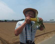 トウモロコシ収穫ツア－月間始まる！【岡部】