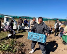 トラ年メンバーと親子で芋ほり