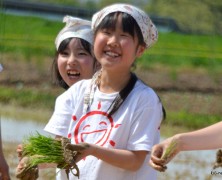 村の田植え【春日山】