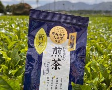 今年の新茶