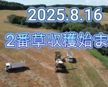 ２番草牧草収穫始まる  2025.8.16