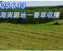 別海実顕地一番草収穫始まる