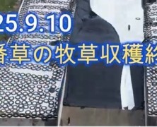２番草の牧草収穫終了