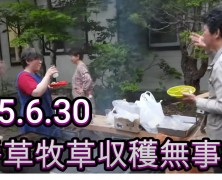 別海実顕地一番草収穫始まる