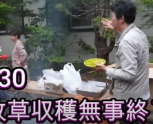 別海実顕地一番草収穫始まる