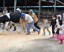 「やろうよ！」豊里小学生楽園村