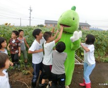 内部川楽園村がはじまっています