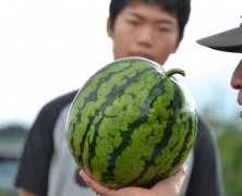 【フォトグラフ】8月の暮らし