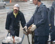 実顕地用養鶏法研鑽会【写真追加】