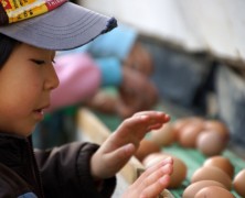 春の楽園村始まっています