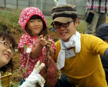 村の和楽でゆったりと【春日山】