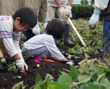 美里ふるさと村