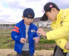 【北条】ふるさと村当日