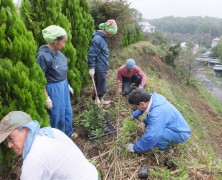 生活館斜面に植樹【岡部】