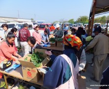 ヤマギシファーム春日山日曜市 大繁盛！