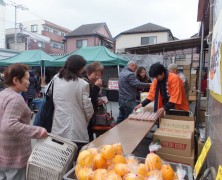 【多摩】3月のファーム町田店