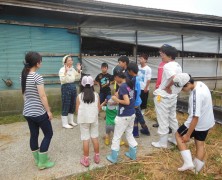 2015年 夏の楽園村開催中