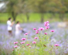 10月フォトグラフ