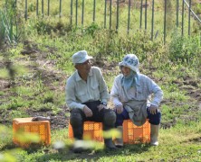 5月フォトグラフ