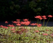 10月フォトグラフ