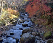 11月フォトグラフ