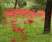 9月フォトグラフ
